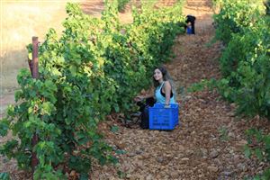 /Gallery/Events/ChateauKefraya/Pic 14.jpg